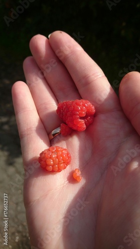 Some raspberries 