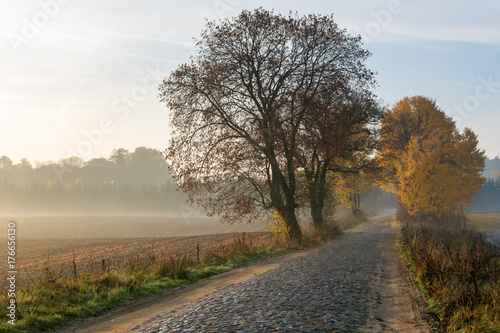 Rural autumn landscape in foggy morning.