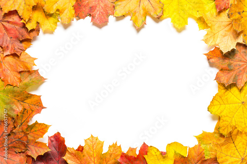 Frame out of colourful autumn leaves on white background