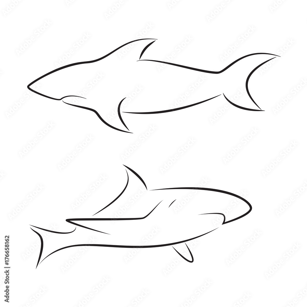 Fototapeta premium Black line sharks on white background. Hand drawing vector graphic.