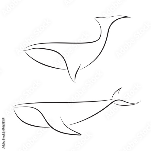 Black line whales on white background. Hand drawing vector graphic.
