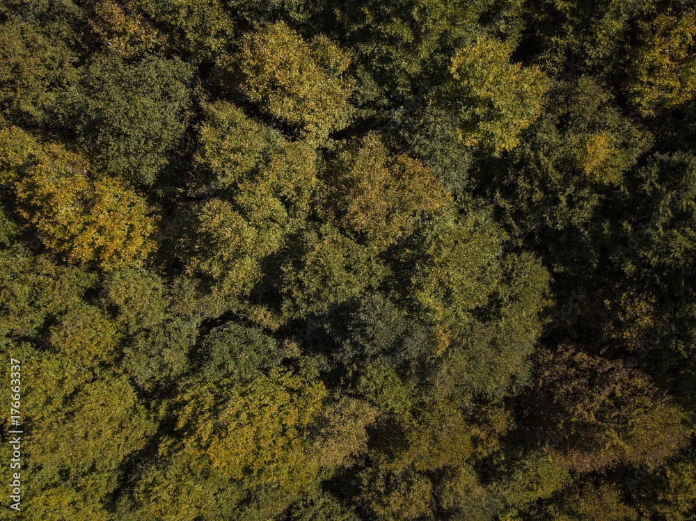 Aerial view of a beautiful mountain landscape with green and yellow trees. Autumn season in Italy. Aerial view of a beautiful mountain landscape with green and yellow trees. Autumn season in Italy.
