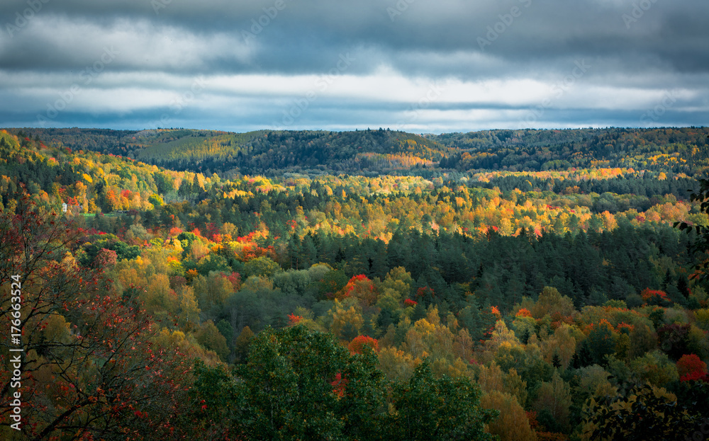  Picturesque view on valley of Gaujas national park. Trees changing colors in foothills.  Colorful Autumn day at city Sigulda in Latvia. 