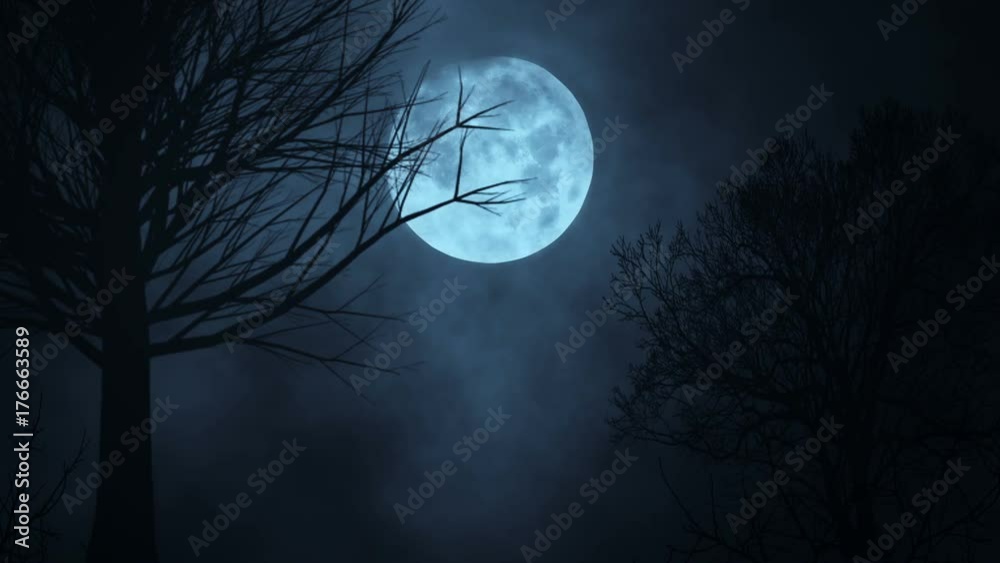 Seamless loop time lapse of moon night sky. spooky trees silhouette. darkness. scary sky. clouds moving
