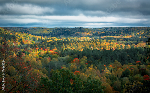  Picturesque view on valley of Gaujas national park. Trees changing colors in foothills. Colorful Autumn day at city Sigulda in Latvia. 