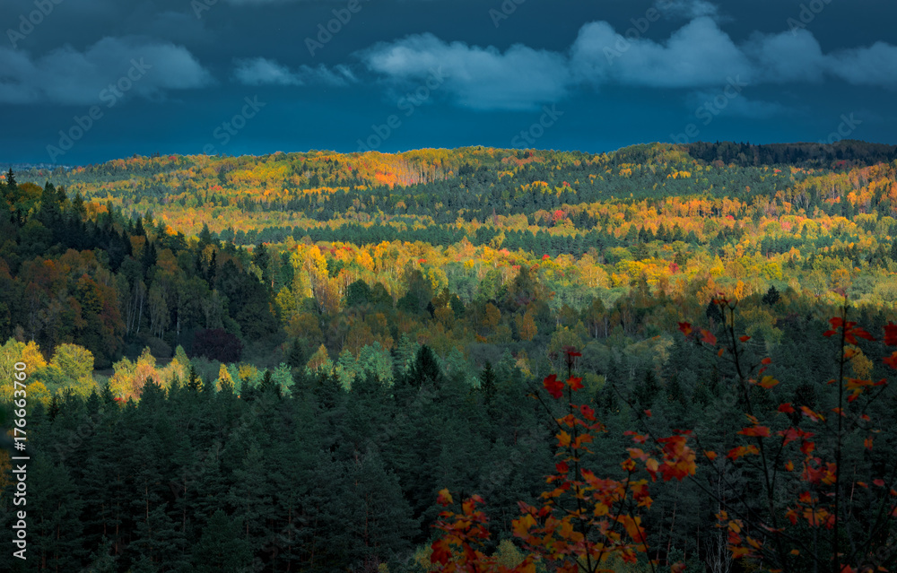 Obraz premium Picturesque view on valley of Gaujas national park. Trees changing colors in foothills. Colorful Autumn day at city Sigulda in Latvia. 