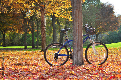 autumn afternoon ride