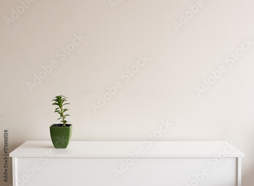 Small plant in green pot on white sideboard against neutral wall background with copy space to right photo