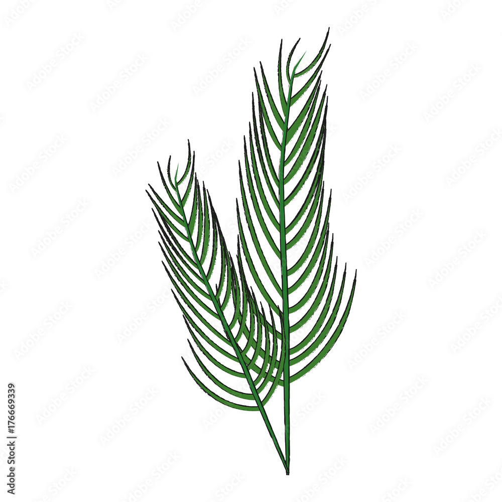 Bouquet of leaves icon vector illustration graphic design Bouquet of leaves icon vector illustration graphic design