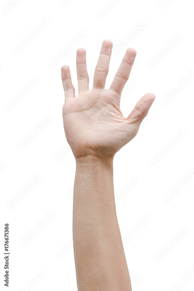 Man hand isolated on white background, clipping path Man hand isolated on white background, clipping path