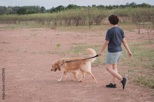 Owner walking with Golden Retriever dog together