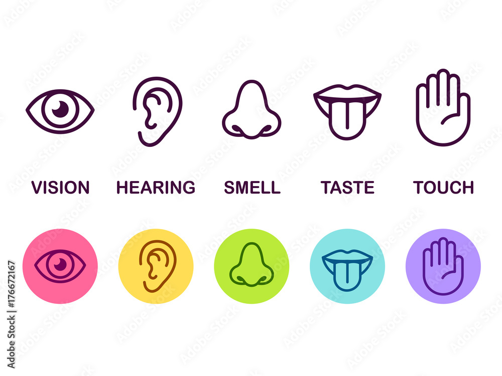 Vetor De Senses Icon Set Do Stock Adobe Stock Vetor De Senses Icon Set Do Stock Adobe Stock