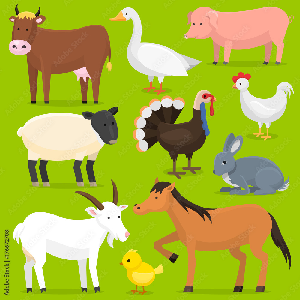 Farm vector animals, birds farmland set illustration. Horse, pig, cow