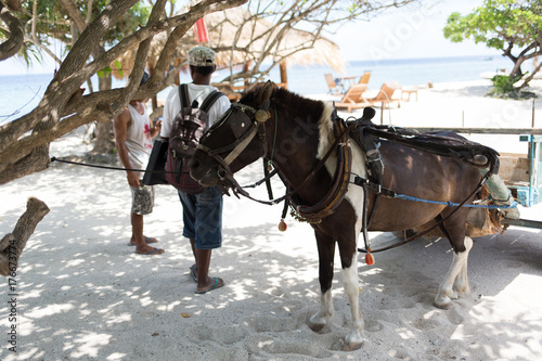 Horse Transportation on the Beach in Gili
