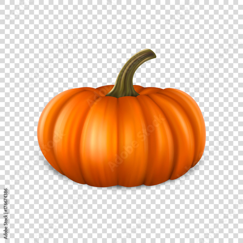 Fototapeta Realistic pumpkin closeup isolated on transparency grid background