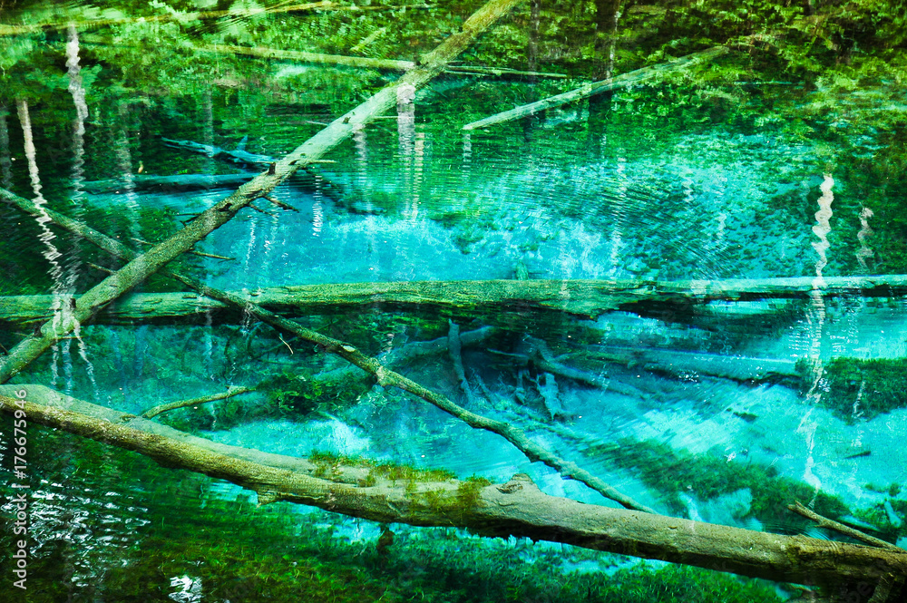 Obraz premium 神の子池 摩周湖周辺の伏流水が湧き出す神秘的な池 （北海道・道東・清里町）