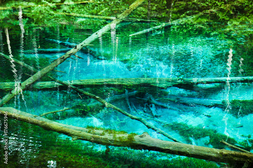 神の子池　摩周湖周辺の伏流水が湧き出す神秘的な池　（北海道・道東・清里町）