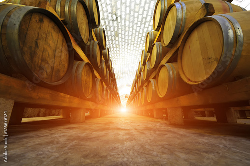 Fototapeta Wine cellar and wooden barrels