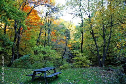 Autumn Picnic 1