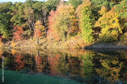 Autumn Reflection 19