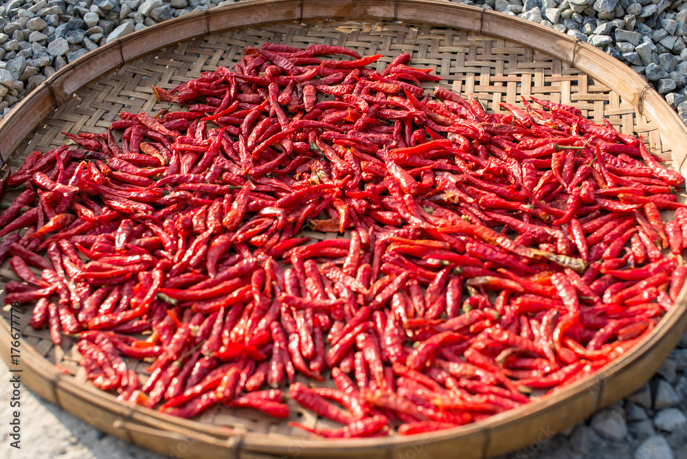 Fototapeta premium Chili pepper drying on the sun
