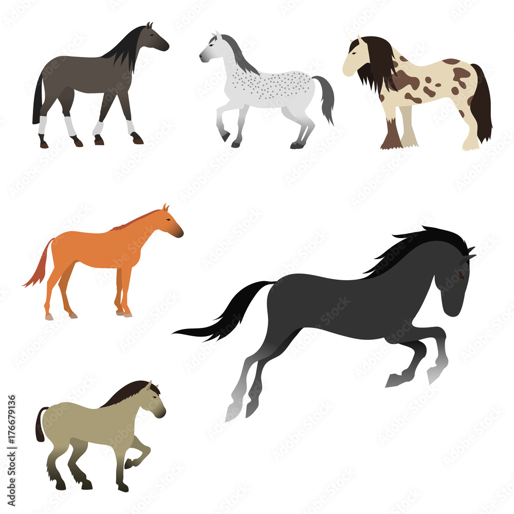 Horse pony stallion isolated different breeds color farm equestrian animal characters vector illustration.