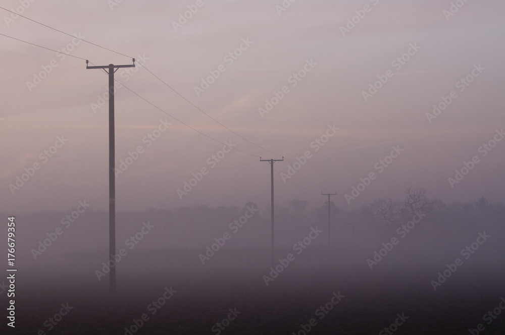 Power lines in pre dawn mist