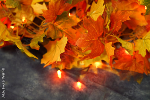 Colorful autumn leaves decoration with lighting bulb
