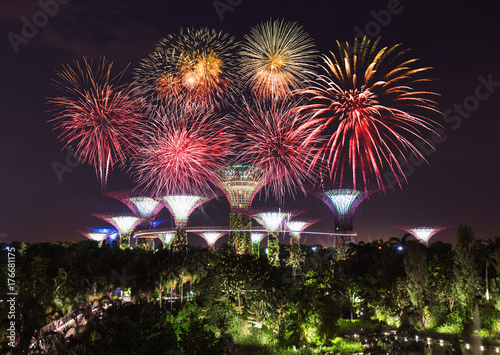 beautiful firework over Gardens by the bay at night, Singapore
