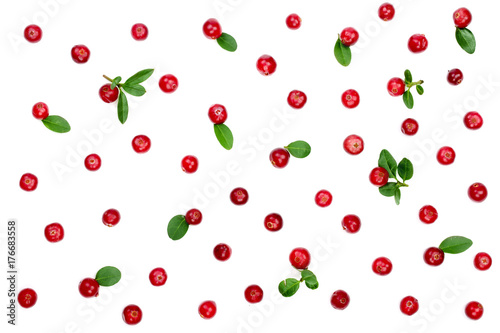 Cranberry with leaves isolated on white background closeup top view. Flat lay pattern