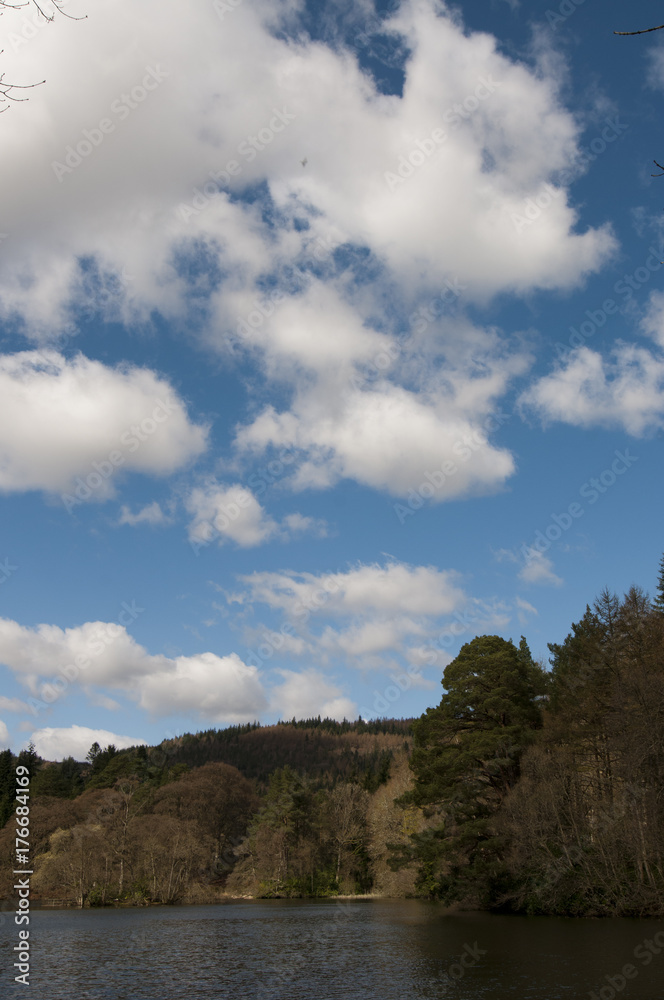 Obraz premium Loch at Bowhill