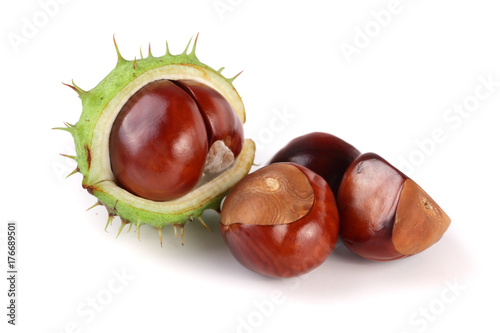 chestnut in the skin isolated on white background closeup