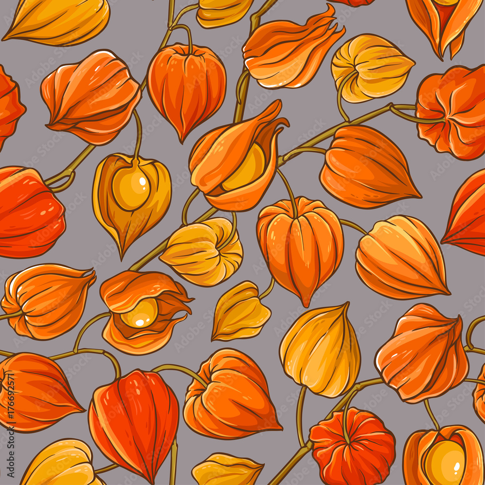 physalis vector pattern physalis vector pattern