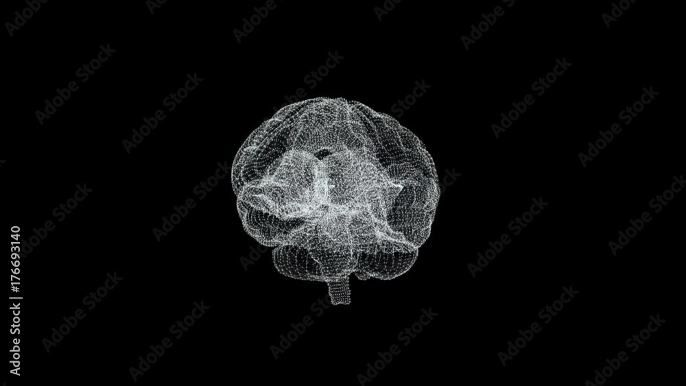 The human brain is like a hologram. Plexus. White rotating human brain on a black background. Concept of Medicine and Science. Loop animation.