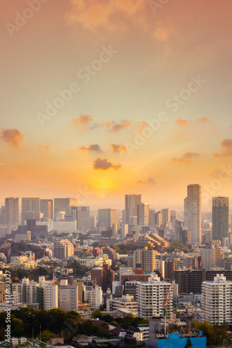 Cityscape of Tokyo city, japan. Aerial view of modern office building and downtown   skyscraper of tokyo with clear sky background. Tokyo is metropolis and center of new asia's modern business