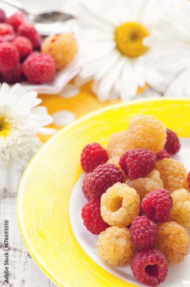 Fruit ice cream yellow raspberry with mixed berries raspberries on a plate on the background of large daisies. Close-up. Fruit ice cream yellow raspberry with mixed berries raspberries on a plate on the background of large daisies. Close-up.