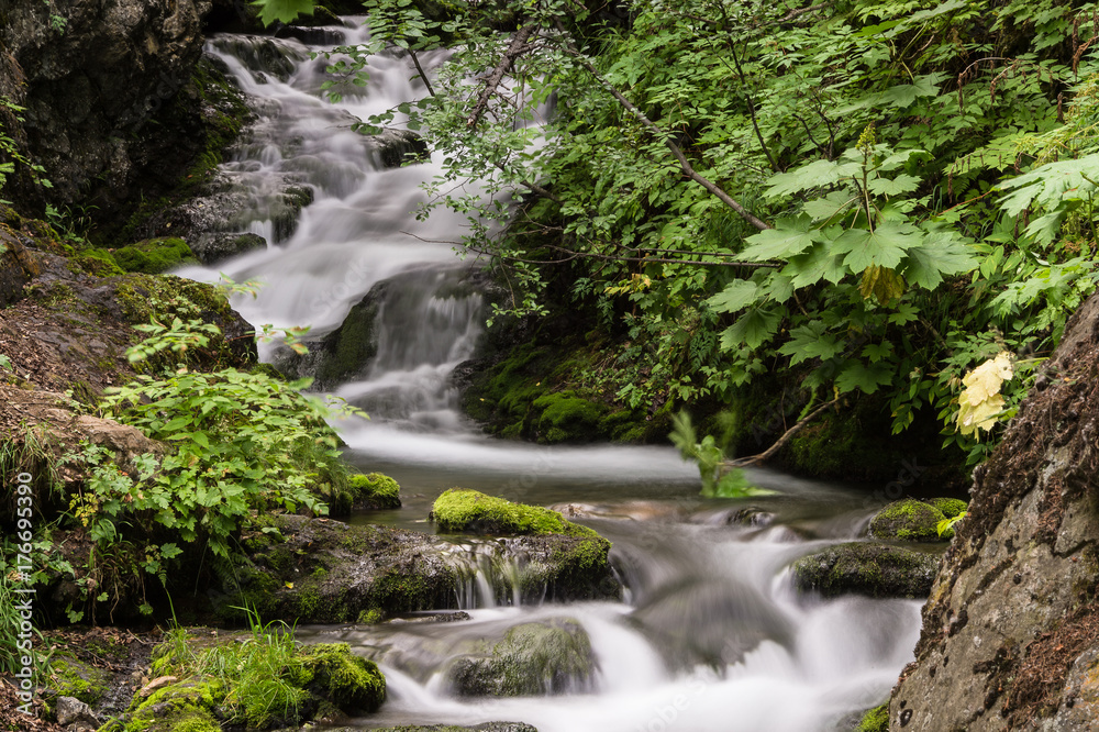Beautiful serene stream, flowing over mossy rocks in Anchorage, Alaska Beautiful serene stream, flowing over mossy rocks in Anchorage, Alaska