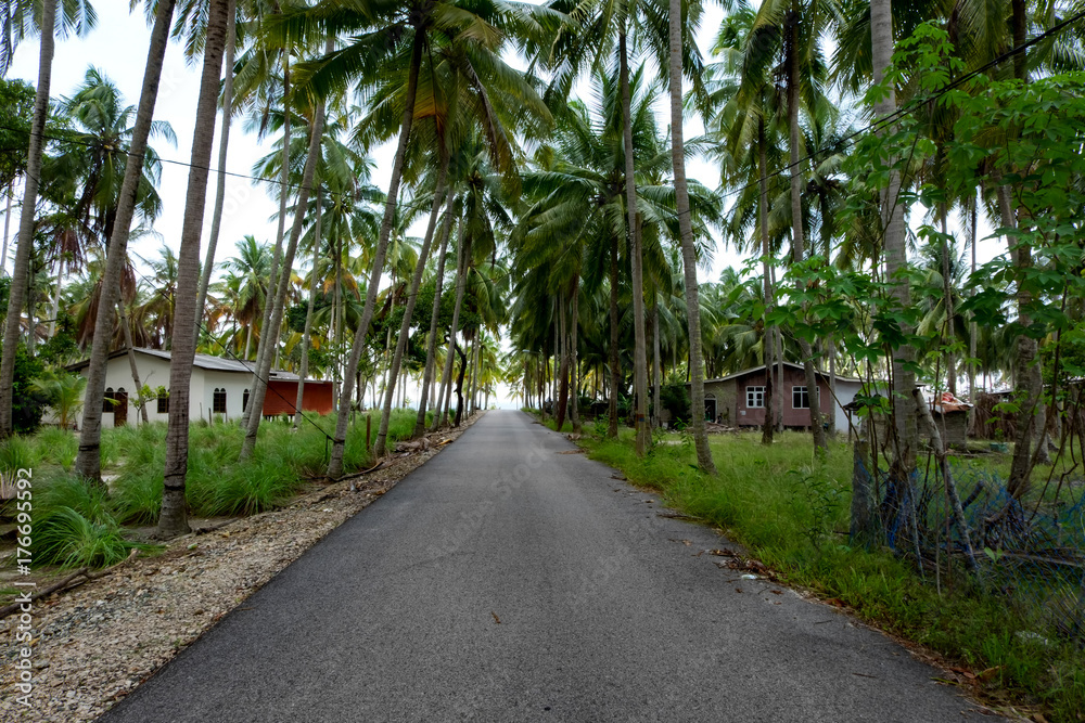 Obraz premium Beautiful in nature, traditional fisherman village located in Terengganu, Malaysia under bright sunny day and blue sky background
