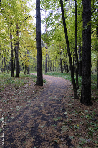 парк