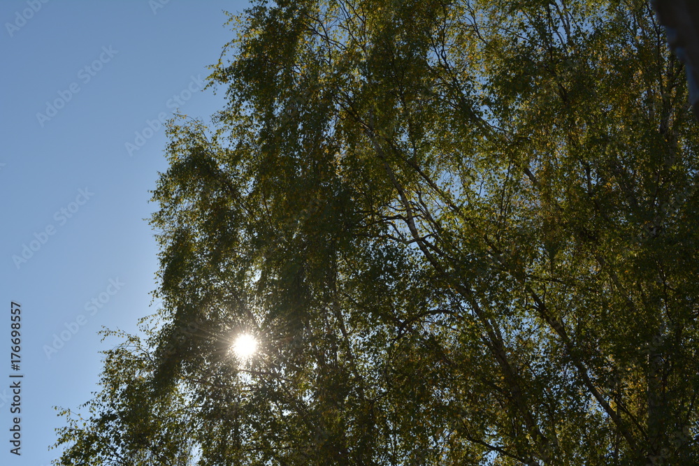 Obraz premium Spätsommer