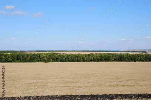 Summer countryside along the road in sunny day photo