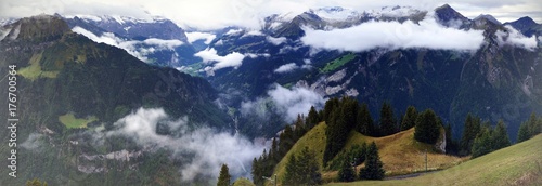 Panoramic view of alpine forest and mountain range in a beautiful day in Schynige Platte, Switzerland photo