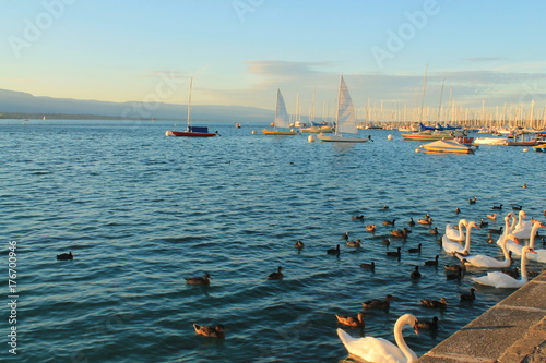 Genève et son lac, Suisse