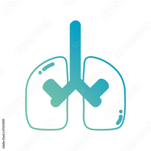 line human lungs respiratory organ