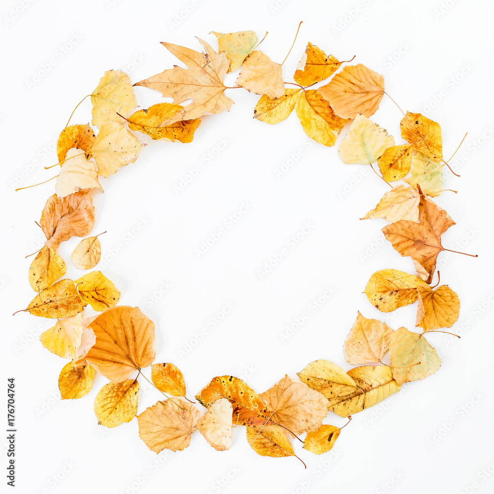 Autumn round frame made of autumn leaves on white background. Flat lay, top view Autumn round frame made of autumn leaves on white background. Flat lay, top view