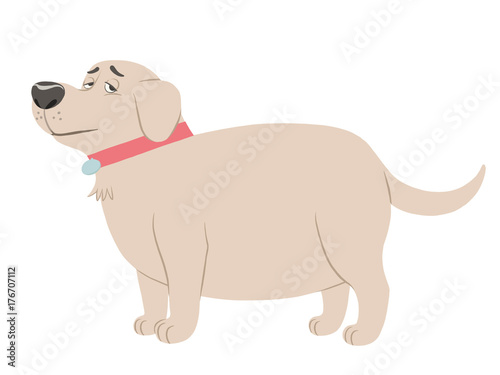 Fat Labrador dog cartoon character