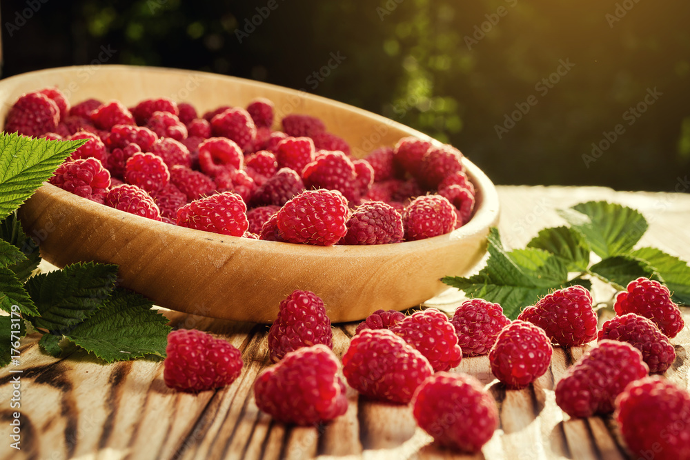 raspberries in a plate,in wooden bowl,basket/bush branch/growing raspberries,raspberries background closeup photo,high resolution product,Delicious first class organic fruit,Raspberry as background - obrazy, fototapety, plakaty 