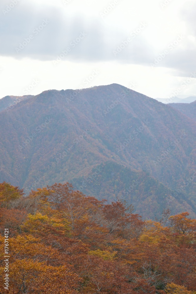 Autumn Landscape of vibrant colorful trees with mountain ranges in Japan