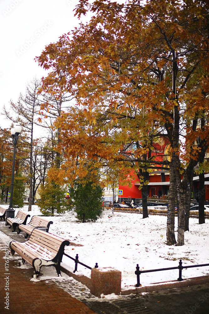 bench in a cold winter park snow