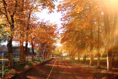 Sunny weather in autumn park